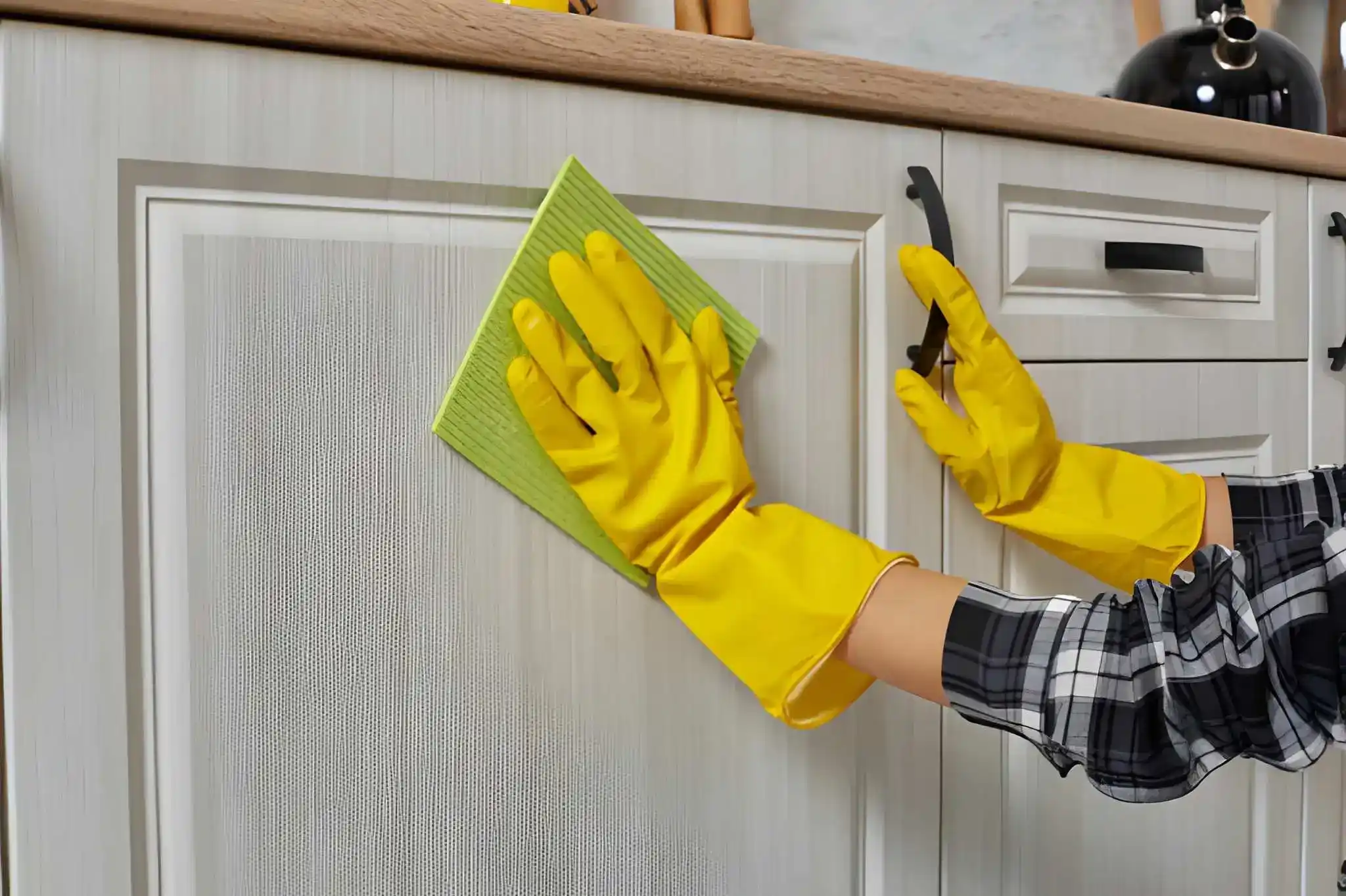 Regular Furniture Cleaning Services