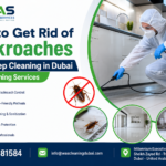 How to Get Rid of Cockroaches After Deep Cleaning in Dubai | Was Cleaning Services