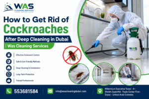 How to Get Rid of Cockroaches After Deep Cleaning in Dubai | Was Cleaning Services