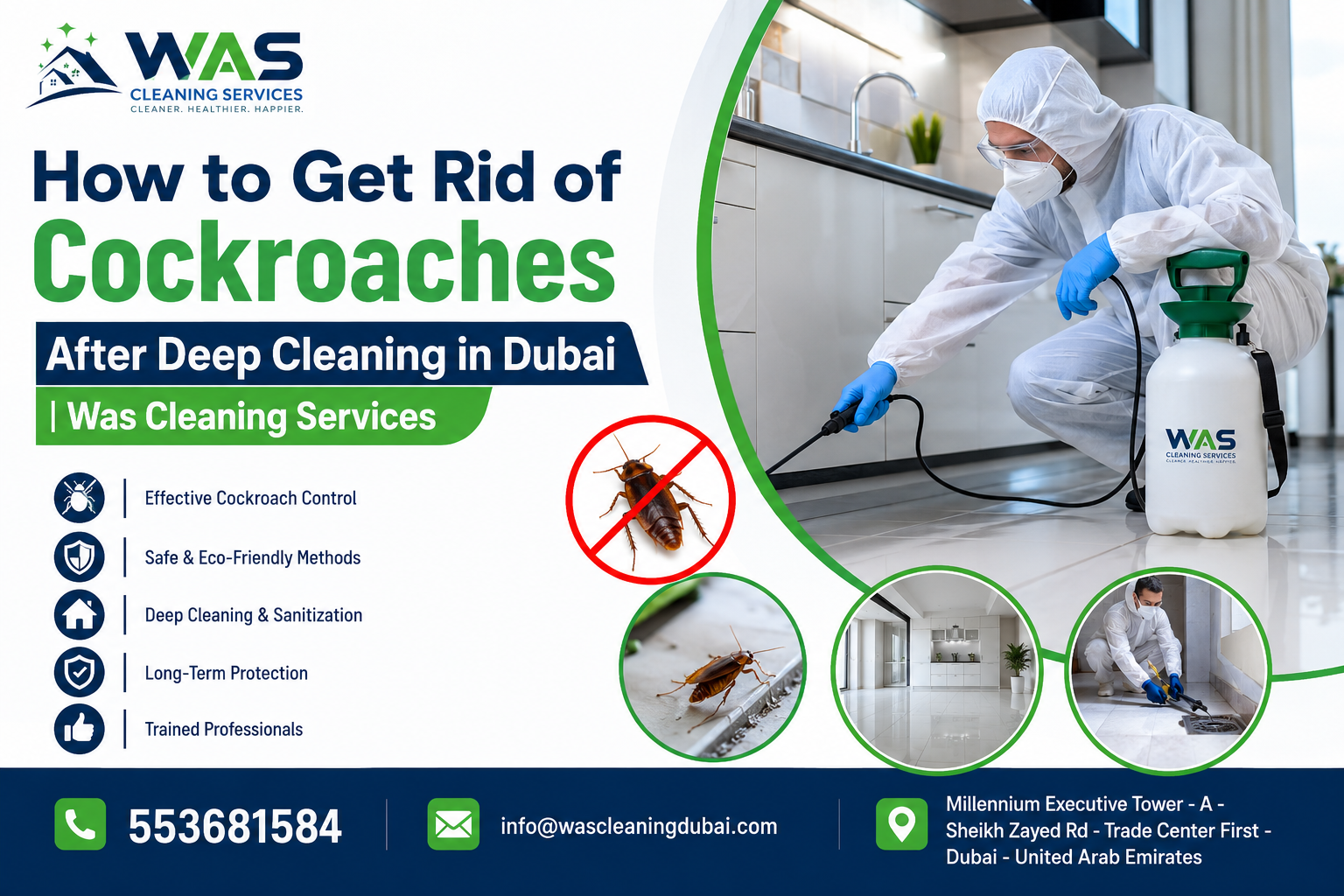 How to Get Rid of Cockroaches After Deep Cleaning in Dubai | Was Cleaning Services