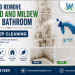 How to Remove Mould and Mildew from Bathroom Walls in Dubai